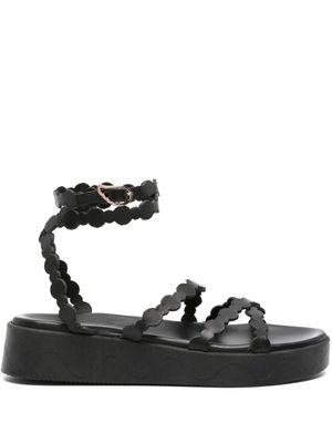 Ancient Greek Sandals sandales Venus en cuir à plateforme - Noir