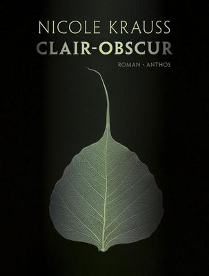 Clair-obscur - Nicole Krauss - ebook