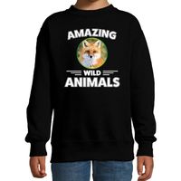 Sweater vossen amazing wild animals / dieren trui zwart voor kinderen