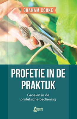 Profetie in de praktijk (Paperback)