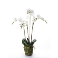 Emerald Kunstplant orchidee met mos wit 90 cm 20.355 - thumbnail