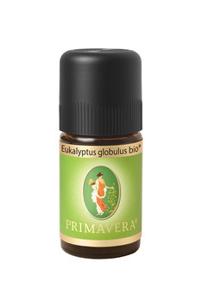 Primavera Eucalyptus globulus bio