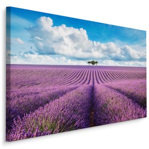 Schilderij -  Prachtig Lavendelveld  , Wanddecoratie , Premium print