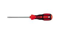 4tecx Schroevendraaier Torx Tx20 L100Mm