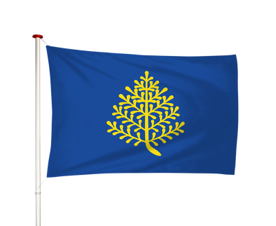 Vlag Rijssen