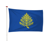 Vlag Rijssen