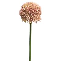 Allium/Sierui Globemaster kunstbloem - losse steel - zalmroze - 44 cm - Natuurlijke uitstraling