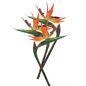 Kunstbloem Strelitzia/Paradijsvogelplant - 3x - 84 cm - losse steel - kunst zijdebloem