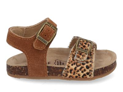 ShoesMe KL260029-A cognac leopard multi bruin maat 27 ShoesMe KL260029-A cognac leopard multi bruin maat 27