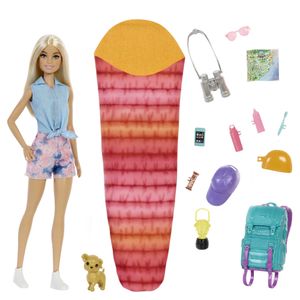 Barbie Dreamhouse Adventures Pop en Accessoires