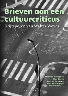 Brieven aan een cultuurcriticus (Paperback)