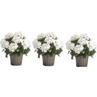 3x Kunstplanten witte Hortensia in mand 45 cm - thumbnail