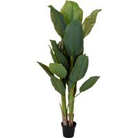 Kunst bananenplant - in pot - 165 cm - kunstplant - voor binnen - bananenboom - thumbnail