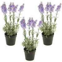 Kunstplant Lavendel - Set van 3x stuks - lila paars - 28 cm - in pot - Lavandula - nepplant - kamerp Kunstplant Lavendel - Set van 3x stuks - lila paars - 28 cm - in pot - Lavandula - nepplant - kamerp