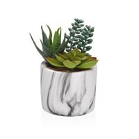 Decoratieve plant Versa Keramisch Plastic Fusion Vetplant 9 x 15 x 9 cm
