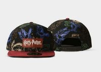 Harry Potter: House Symbols Snapback Cap