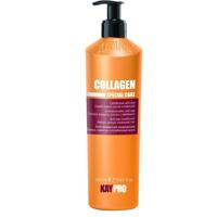 Kay Pro Special Care Collagen Conditioner 350ml
