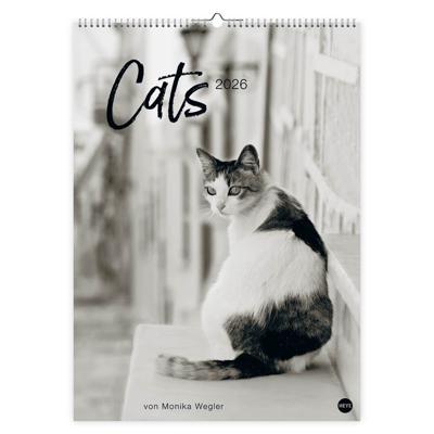 Katten Kalender 2026 XL