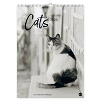 Katten Kalender 2026 XL