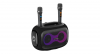 N-GEAR NRG600 - Bluetooth Speaker - Partybox met Verlichting + 2 Microfoons - IPX5 Waterdicht - Zwart