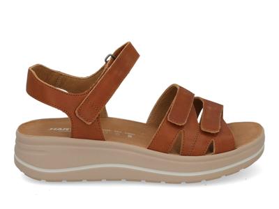 Hartjes Woogie 132.2004 cognac Cognac maat 39