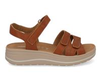 Hartjes Woogie 132.2004 cognac Cognac maat 38