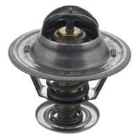 Thermostaat 18980