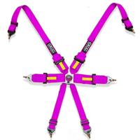 6-puntsgordel OCC Motorsport Roze