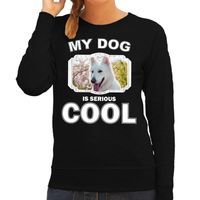 Witte herder honden sweater / trui my dog is serious cool zwart voor dames