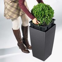 LECHUZA CUBICO Cottage 30 All-in-One Set Binnen/buiten Plantenpot Vrijstaand Polypropyleen (PP) Grijs - thumbnail