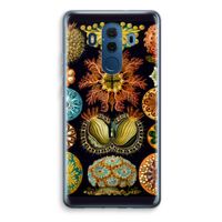 Haeckel Ascidiae: Huawei Mate 10 Pro Transparant Hoesje Haeckel Ascidiae: Huawei Mate 10 Pro Transparant Hoesje