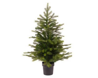 Grandis mini boom d63h90cm groen - Everlands