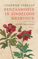 Eenzaamheid in eindeloos meervoud - Lodewijk Verduin - ebook - thumbnail