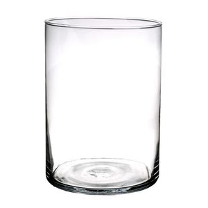 Cilinder vaas/vazen van glas D18 x H25 cm transparant   -