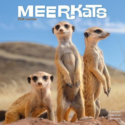 Stokstaartjes Kalender 2026