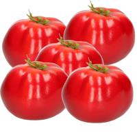 Esschert Design kunstfruit decofruit - 5x - tomaat/tomaten - ongeveer 6 cm - rood