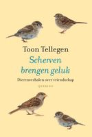 Scherven brengen geluk - Toon Tellegen - ebook