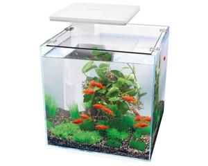 Superfish Qubiq 30 Pro Wit - Meerstappenfilter voor Heldere Vijvers tot 30L