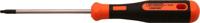 Schroevendraaier Torx10 2K - Skandia
