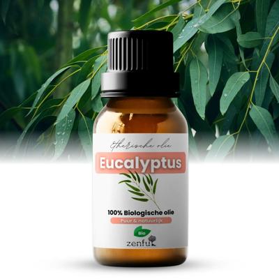 Eucalyptus olie biologisch 10 ml