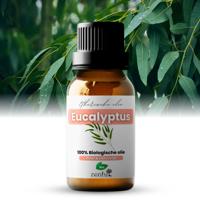 Eucalyptus olie biologisch 10 ml