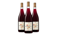 Midnight Fever Rouge pakket