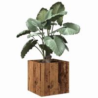 VidaXL Plantenbak 40x40x40 cm bewerkt hout oud houtkleurig