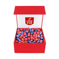 Côte d'Or paaseitjes in luxe magneetdoos - melk & puur - 2500g