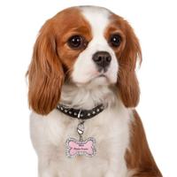 Nobleza Halsbandhanger voor hondje