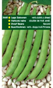 Stamslabonen Record/Verb.Dubbele 250 gram - Tuinplus