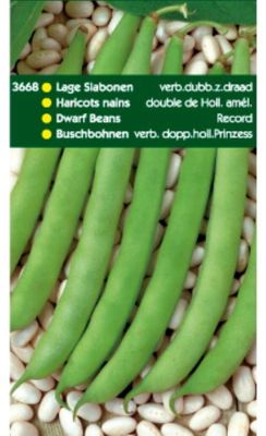Stamslabonen Record/Verb.Dubbele 250 gram - Tuinplus