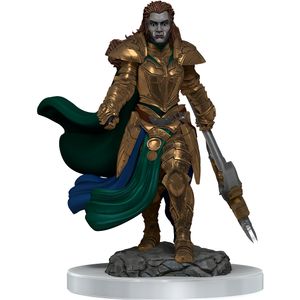 D&D Nolzur's Marvelous Miniatures Unpainted Miniatures 2-Pack Orc Fighter Female