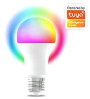 Denver LED GLS mat RGB E27 9W dimbaar SMART Wi-Fi TUYA - LED5030 Denver LED GLS mat RGB E27 9W dimbaar SMART Wi-Fi TUYA - LED5030