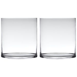 Set van 2x stuks transparante home-basics cylinder vorm vaas/vazen van glas 30 x 25 cm